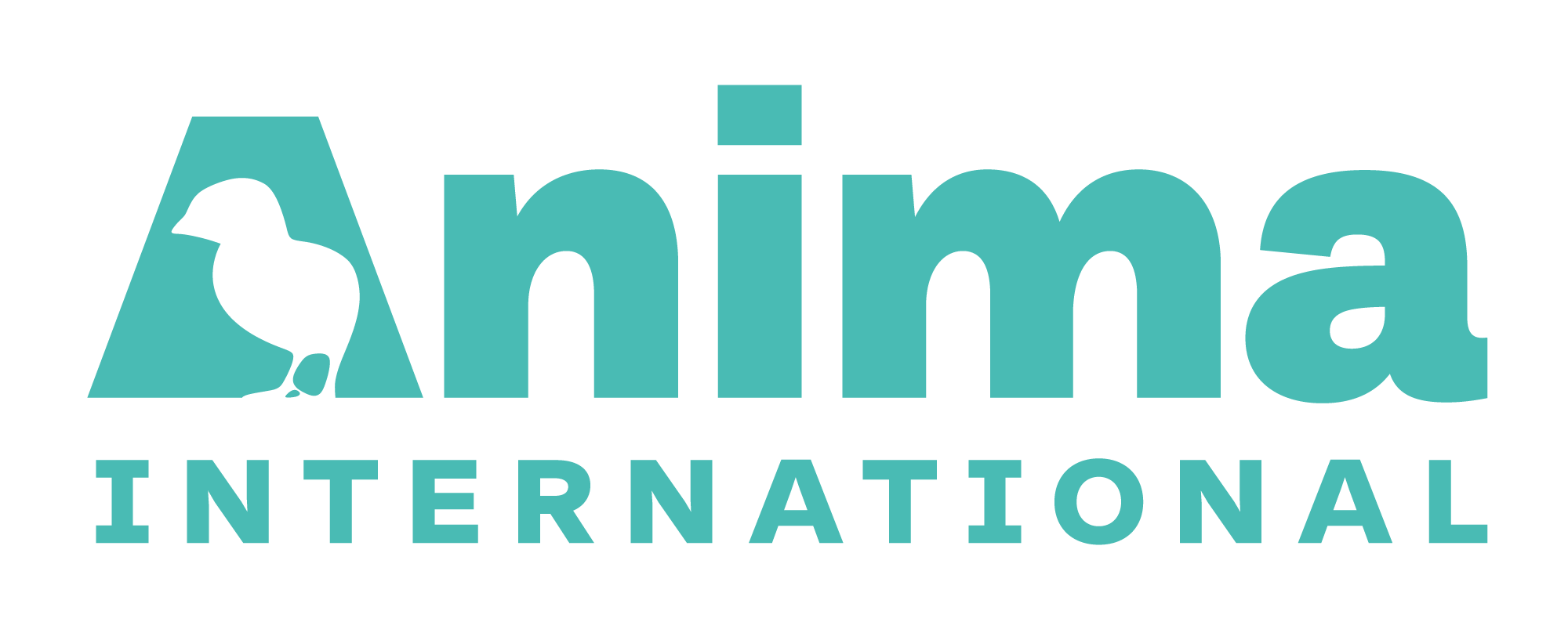 Anima International